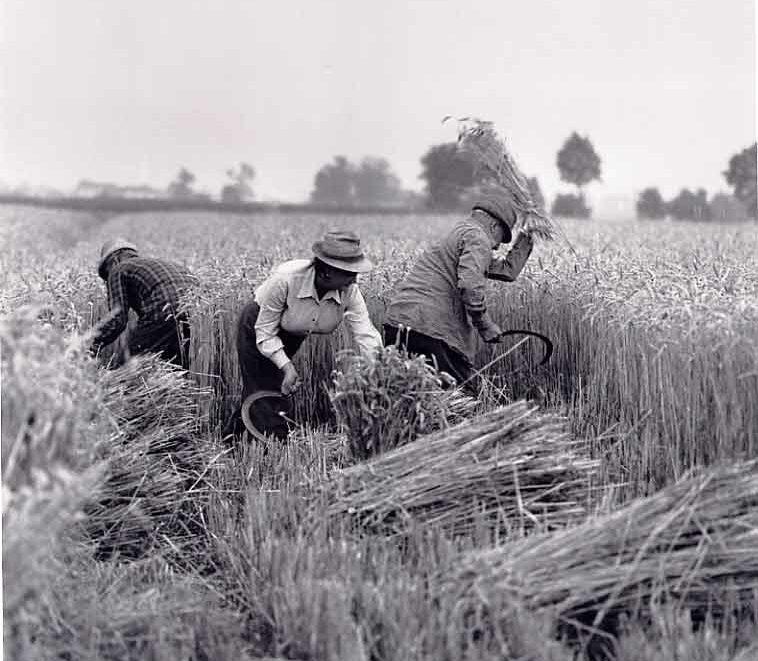cropped-1.jpg